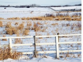 City council gave tentative approval Monday to a long-term development proposal for nearly 2,000 hectare in southeast Edmonton.