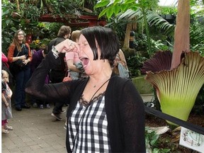 Tropical Pyramid at the Muttart Conservatory Michele McDougall poses for a friend, on April 7, 2015, in in front of the Muttart Conservatory’s stinky corpse flower, affectionately referred to as Putrella.