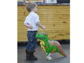 2 year old Damien Hoda walks his dinosaur at this year’s Mom, Pop & Tots Fair taking place at Northlands Edmonton EXPO Centre Hall A, in Edmonton on Friday Mar. 6, 2015.