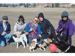 Ken Zahara, Janie Zahara, Lisa Van Osch, Elise Hetu and Sujatha Fernando are part of a group of off-leash dog park users that wants a fence built around the Grand Trunk off-leash park. They were photographed in Edmonton April 12, 2015.