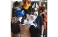 Animal critters taking part in the Wild & Weird West Furry Fandom Convention parade in costume through the Ramada Hotel in Edmonton on Saturday May 9, 2015.