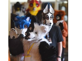 Animal critters taking part in the Wild & Weird West Furry Fandom Convention parade in costume through the Ramada Hotel in Edmonton on Saturday May 9, 2015.