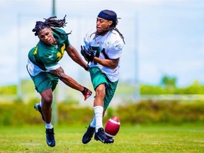 Cornerback Robert Sands, left, defends receiver Patrick Robertson during the Edmonton Eskimos’ mini-camp at Bradenton, Fla., on April 22, 2014.