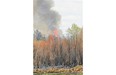 Fire flares up in a forest near Opal, Alta., on May 17, 2010. A significant El Nino event might mean an increased number of forest fires and droughts next summer.