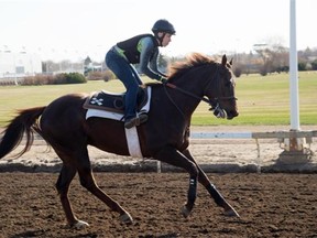 Jockey Shannon Beauregard who broke six vertebrae and fractured 20 other vertebrae in her back last July and who is getting to ride again when Northlands racing season opens May 1 in Edmonton April 21, 2015.