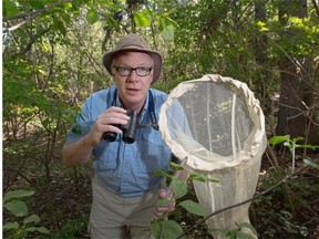 John Acorn has started a project to get people to submit online photos of Alberta’s various types of butterflies.