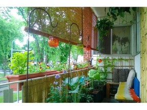 Justin Keats started off with simple hanging pots, but new additions to his balcony garden enhanced the space.