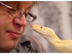 Mark Chomin gets up close and personal with an Albino Boa constrictor at the Edmonton Reptile and Amphibian spring show. ERAS will host it’s first reptile show and sale of the year. Two days jam packed with all the reptiles, amphibians, and invertebrates that you and your family can handle in Edmonton. May 23, 2015.