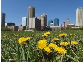 Meteorologists say warmer weather is possible for Alberta this year.