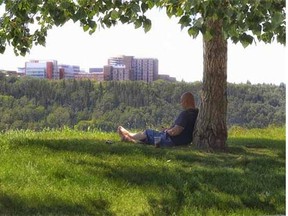 A man relaxes under a shady tree overlooking the lush river valley near Const. Ezio Faraone Park.