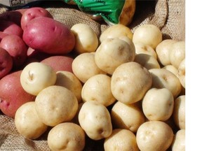 Potato chitting can help you determine which potatoes are best for planting, increasing your bounty at harvest time.