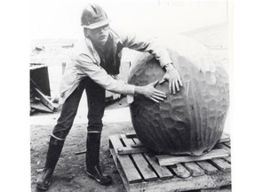 A Syncrude employee in Fort McMurray in 1990 gets a handle on an excavated object initially believed to be a meteorite but turned out to be fossilized coral left behind by receding glaciers.