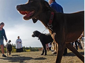 Those opposed to fencing in the Grand Trunk off-leash dog park are taking a rather narrow and selfish view, writes Vince Wald, who calls such parks “an amazing community asset.”