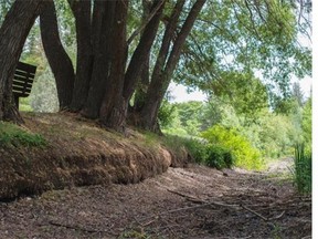 A dry canal bed at the University of Alberta Devonian Botanic Garden on June 11, 2015. Normally there is water in these canals throughout the season.