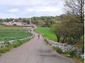 The road to Ostuni passes through ancient olive-tree plantations winding down to the Adriatic Sea.