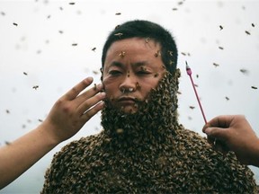 This picture taken on April 9, 2014 shows She Ping, a 34 year-old beekeeper, covered with a swarm of bees weighing 45.65 kilograms in southwest China’s Chongqing. One of his countrymen, Gao Bingguo, 55, bested that feat on May 25, 2015 by donning a coat of bees weighing 110 kilograms.