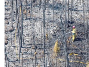 Woodland fire fighters with Alberta Agriculture and Forestry extinguish hot spots in a wildfire approximately 22 kilometres east of Slave Lake Alta. on May 27, 2015.