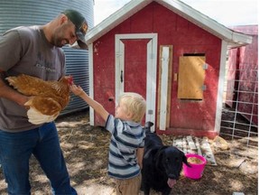 Brian Mendieta holds a chicken while Carter Henry, 6, tries to feed the bird at 12 Acres Farm, part of a new restaurant concept in St. Albert.