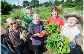 Canada continues to lack a national food policy, which Diana Bronson of Food Secure Canada says should be addressed in the upcoming federal election.