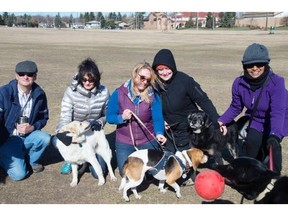 From left: Ken Zahara, Janie Zahara, Lisa Van Osch, Elise Hetu and Sujatha Fernando are part of a group of off-leash dog park users who want a fence around the Grand Trunk off-leash park.