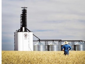 A Paterson Grain facility in Assiniboia, Sask., similar to a unit-train loading facility proposed for a site near Daysland in central Alberta.