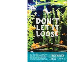 The province is launching a campaign in summer 2015 to discourage people from dumping their aquariums into natural environments, potentially introducing invasive aquatic species, including non-native fish and plants.