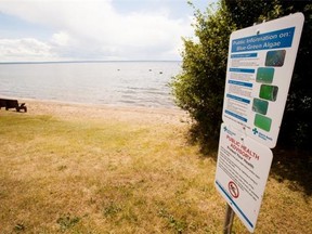 A sign explaining about algae blooms at Pigeon Lake.  (Edmonton Journal/File)