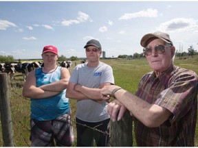 Allan Shenfield, right, his son Kevin Shenfield, centre and grandson Bobby Plourde farm near Spruce Grove. They have a dairy farm called Surrey View Farms which has been affected by the drought conditions that have hit the area.