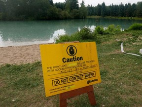 The City of Edmonton has started pumping sodium hypochlorite into the pond at Hawrelak Park to kill the blue-green algae growth, in preparation for the 2015 ITU World Triathlon Edmonton event being held at the park on September 5 & 6.