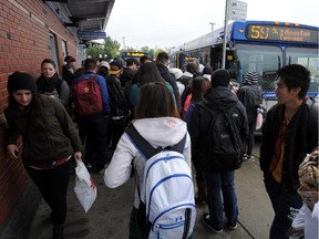 Crowded buses in Mill Woods.