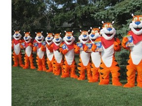 Edmonton-based International Mascot Corporation company is sending 10 costumes of Tony the Tiger to the Little League World Series in Pennsylvania. Kellogg’s is a sponsor of the event which attracts teams from around the world.