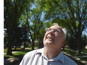 Forester Milton Davies looks the tree canopy in his neighbourhood, which has damage caused by construction work, in Edmonton on Tuesday July 21, 2015.