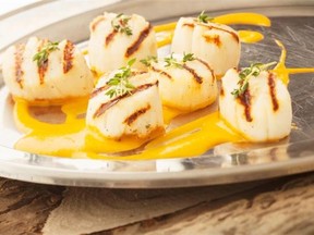 Grilled Scallops with Tequila Tomato Sauce