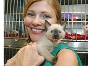 Jocelyn Wady of the Edmonton Humane Society holds one of the stray kittens at the society’s centre in Edmonton on July 16, 2015. The society has joined the Million Cat Challenge, a North America-wide initiative that aims to save the lives of one million cats in the next five years.