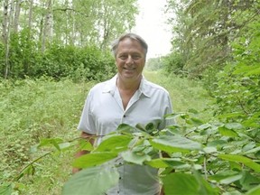 Kim Laskin is part of a group working to protect Bunchberry Meadows Conservation Area near Edmonton from development.