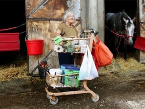 Lois Lewis works as a groom despite suffering an injury on the job at Edmonton’s Northlands Park.