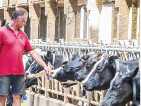 Protection of our dairy industry is a stumbling block that threatens to exclude Canada from the Trans-Pacific Partnership, argues Carlo Dade of the Canada West Foundation.