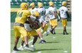 Quarterback James Franklin hands off to Shakir Bell at the Edmonton Eskimos practice as the Green and Gold prepare to host the Saskatchewan Roughriders on July 31 at Commonwealth Stadium in Edmonton, July 27, 2015.