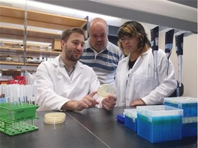 University of Alberta researchers Brent Weber, Mario Feldman and Amy Ly are exploring antibiotic-resistant superbugs and how to combat them.
