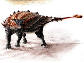 Ziapelta, an ankylosaur with a fully developed tail club.