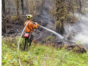 The fire ban in Jasper National Park was lifted Friday, allowing park visitors to enjoy campfires in designated fire pits. Parks Canada reports that the recent wet weather has also allowed fire crews to make progress on containing a wildfire in the park that was started by lightning and was first reported July 9.