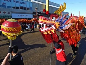 The Year of the Sheep was celebrated with a dragon dance in Edmonton’s Chinatown for Chinese New Year on Feb. 21, 2015.  Between 2001 and 2011, the Chinese population has increased ever so slightly in both Calgary and Edmonton, writes Sandeep Agrawal.