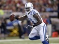 Indianapolis Colts wide receiver Andre Johnson  heads to the end zone on a 32-yard touchdown reception during the first quarter of an NFL preseason football game against the St. Louis Rams on Aug. 29, 2015.