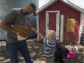 Brian Mendieta holds a chicken while Carter Henry, 6, attempts to feed the bird. This is about a farm family who used to be city people, Then health issues made them reassess their choices, and so they started farming and now they have a tight relationship with a restaurant of the same name called 12 Acres..