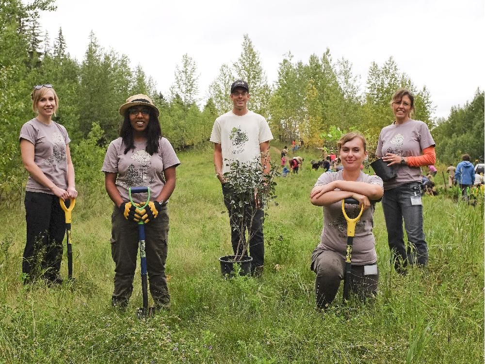 Help to bring berries to the river valley through the MacKinnon Food
