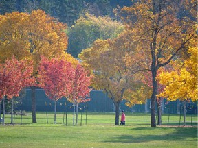 Edmonton's river valley — in particular spots such as Hawrelak Park, shown here — offers plenty of chances to witness autumn's splendour.