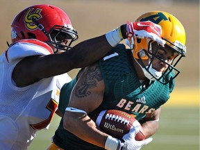 Receiver Tylor Henry will likely be a target of redshirt freshman quarterback Ben Kopczynski when the University of Alberta Golden Bears open the Canada West season on Friday against the Regina Rams at Mosaic Stadium in Regina.