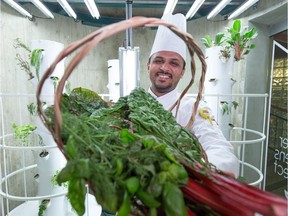 Vikram Vadke, sous chef with Aramark, shows off swiss chard grown in MacEwan's new Tower Gardens Project in Edmonton on September 18, 2015. Aeroponic technology is used to grow vegetables without soil in unused areas of the school such as underneath stairwells. MacEwan hopes to scale up the project to the point where all produce sold in cafeterias is grown on campus.