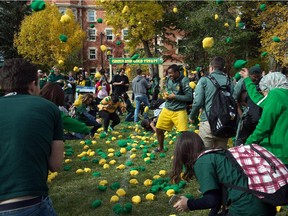 The U of A sock fight is a sock-tossing frenzy involving 2,015 pairs of socks, which are later donated to local charities.