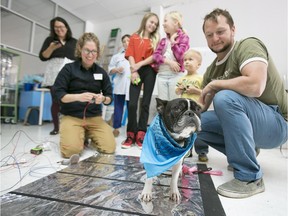 Eloise, a Boston terrier French bulldog mix, gets tested for conductivity during auditions for the Beakerhead Dog Orchestra at Beakerhead headquarters in Calgary on Saturday, Aug. 22, 2015.